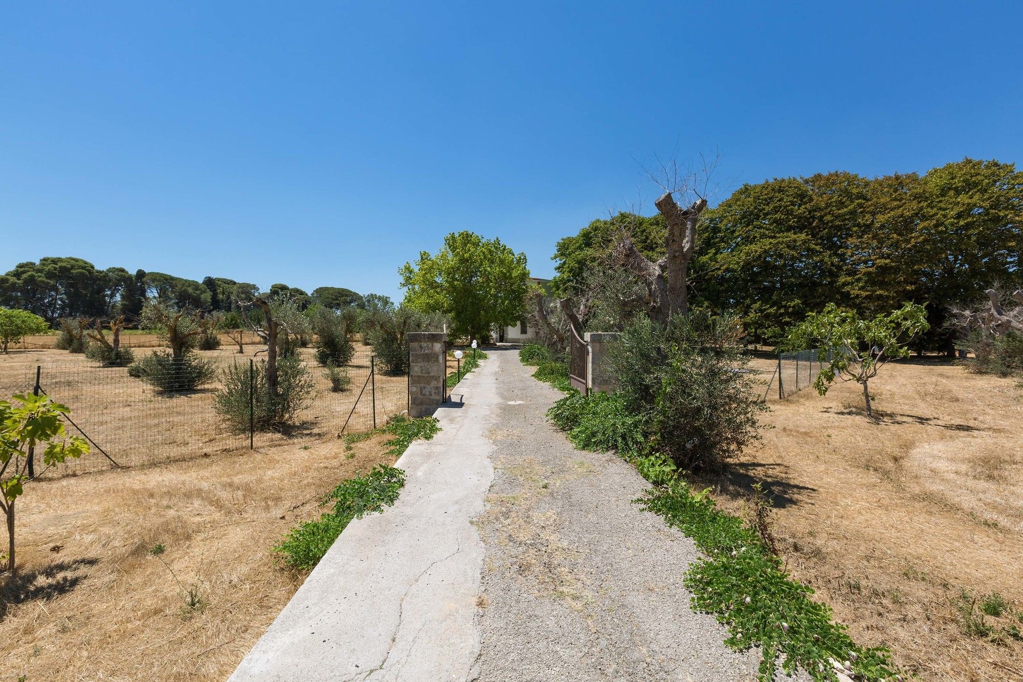 Villa dei Primi