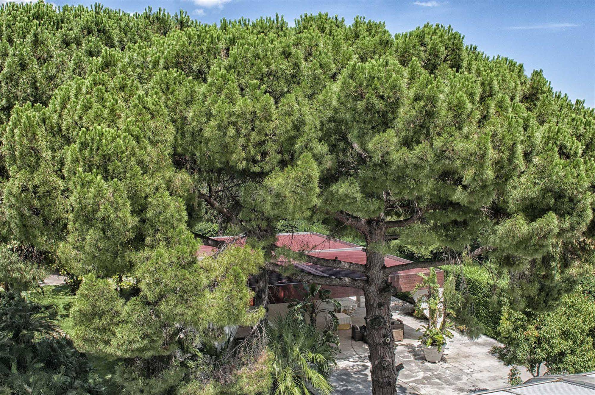 Garden Hotel Molfetta