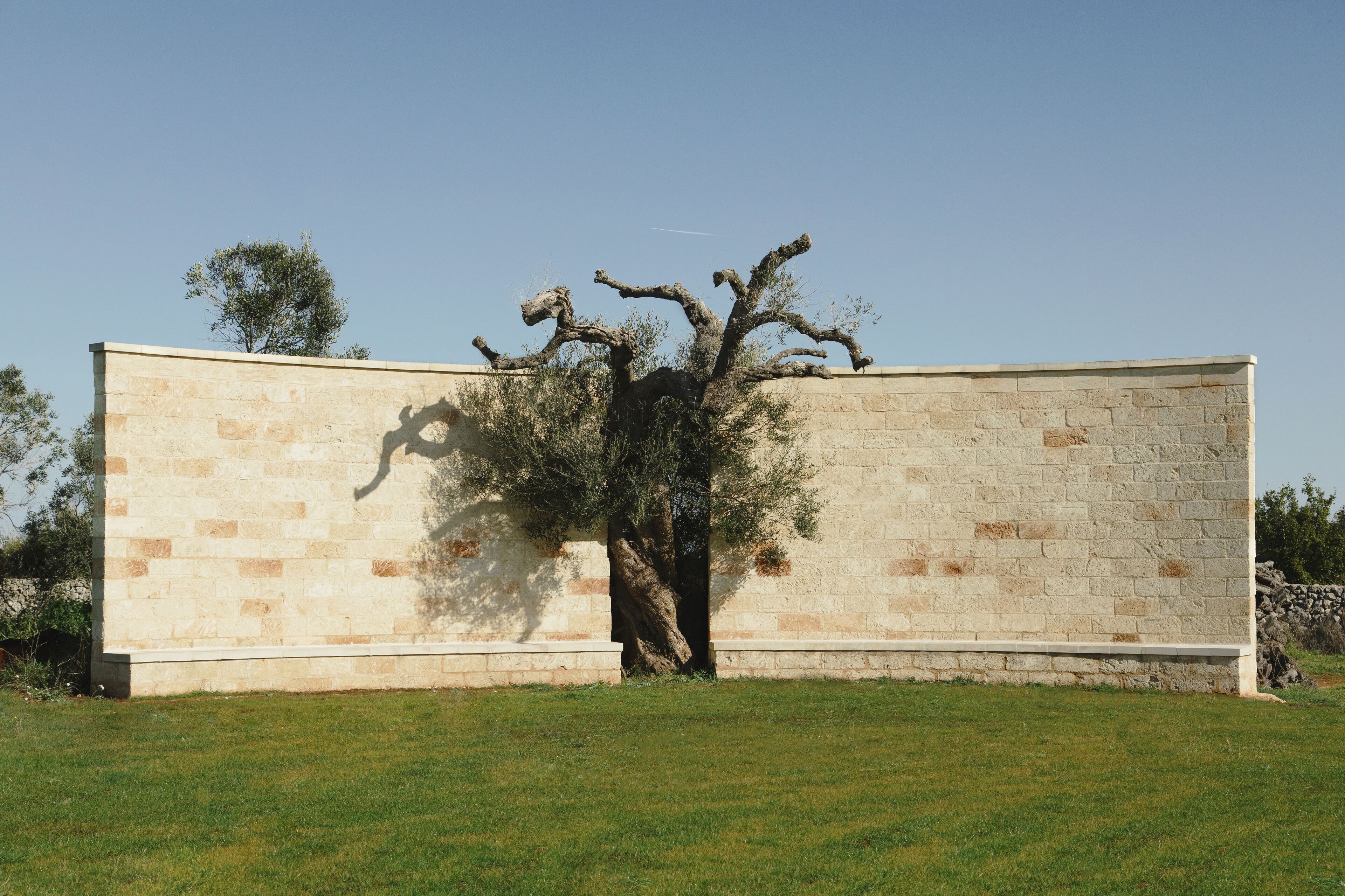 Secolario Masseria del Viverbene