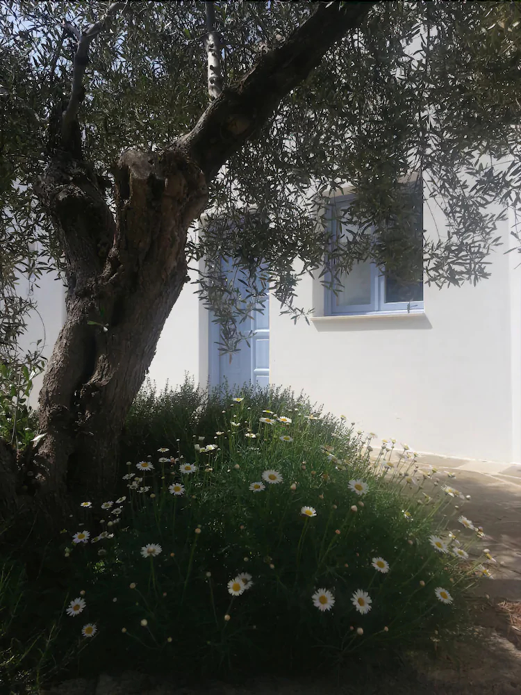 Tenuta De Marco