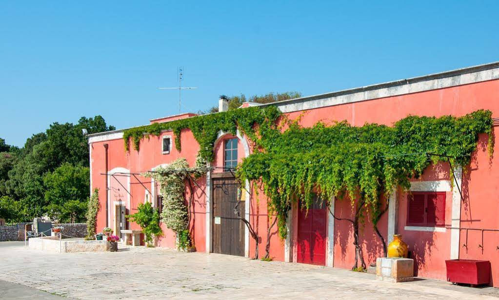 Tenuta Colavecchio