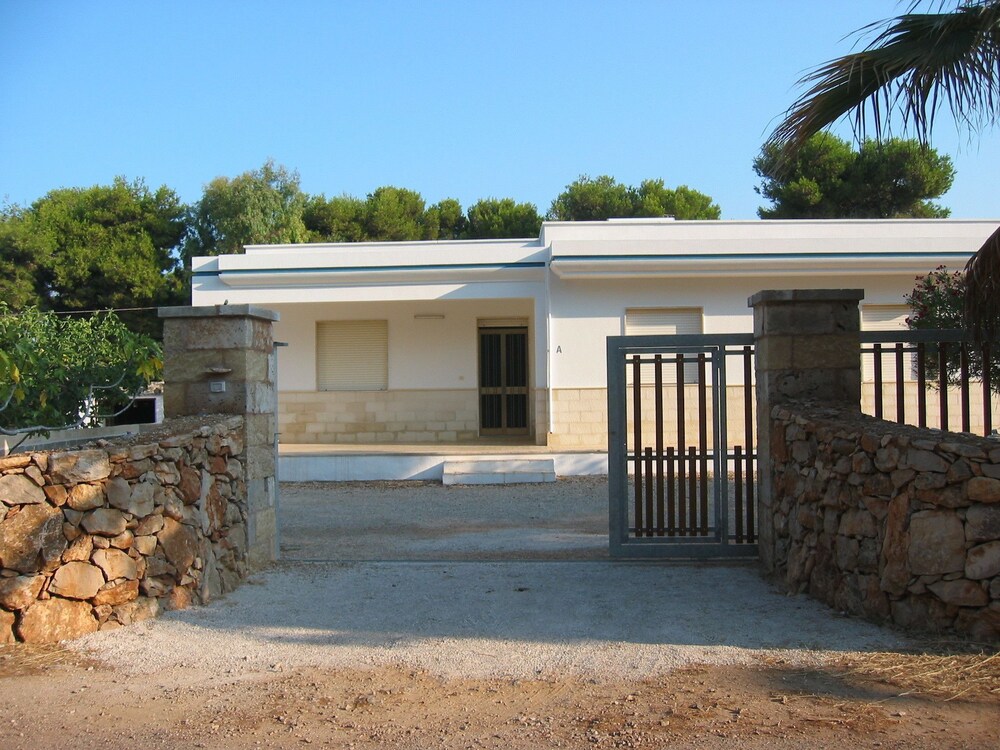 Il Gabbiano