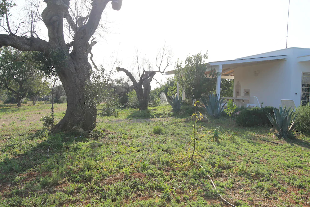 Residence Salenthouse