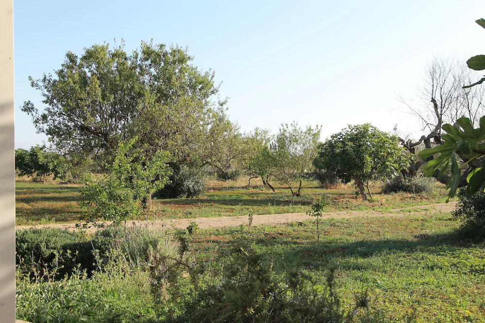 Residence Salenthouse