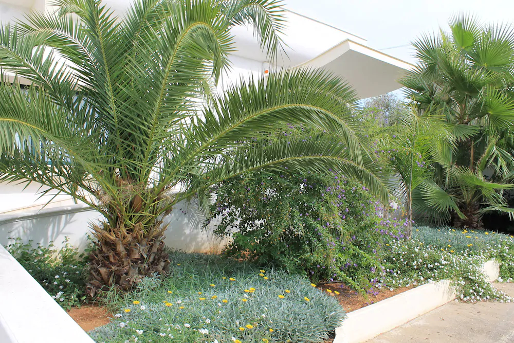 Residence Salenthouse