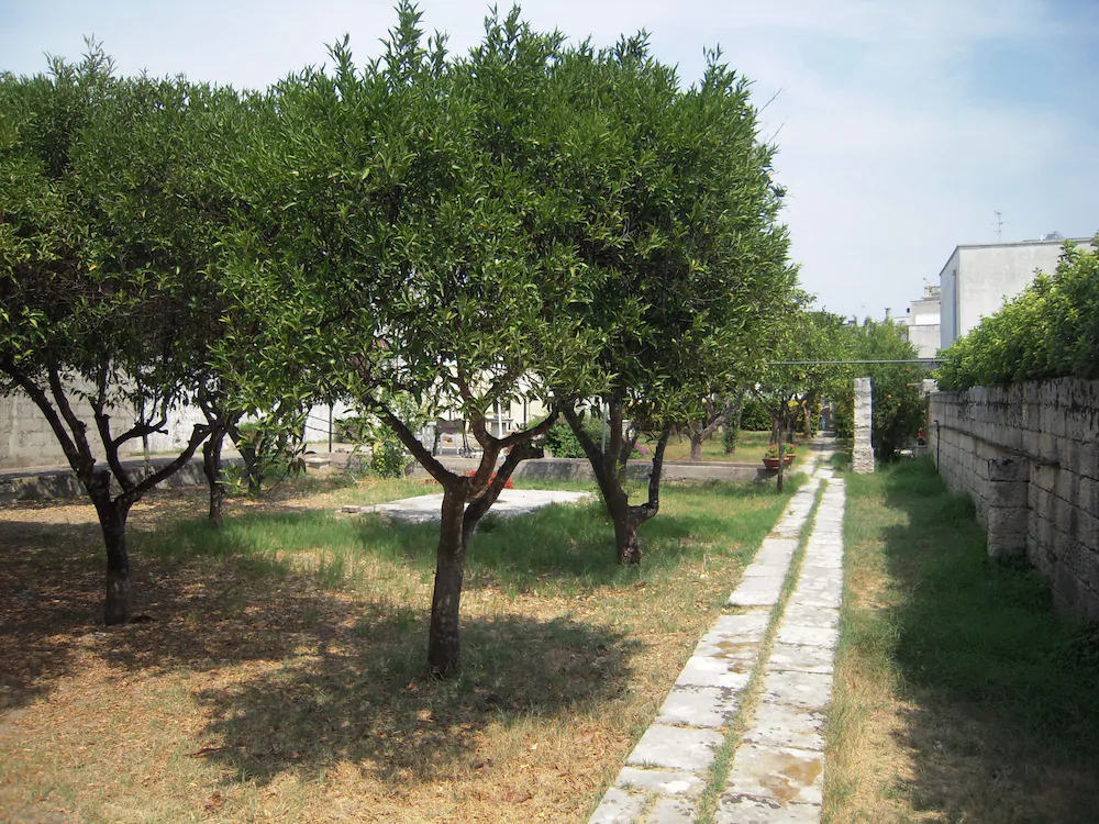 Villa Raffaela