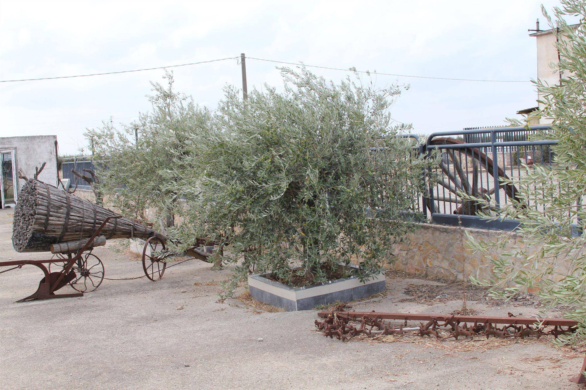Agriturismo Silos Agri