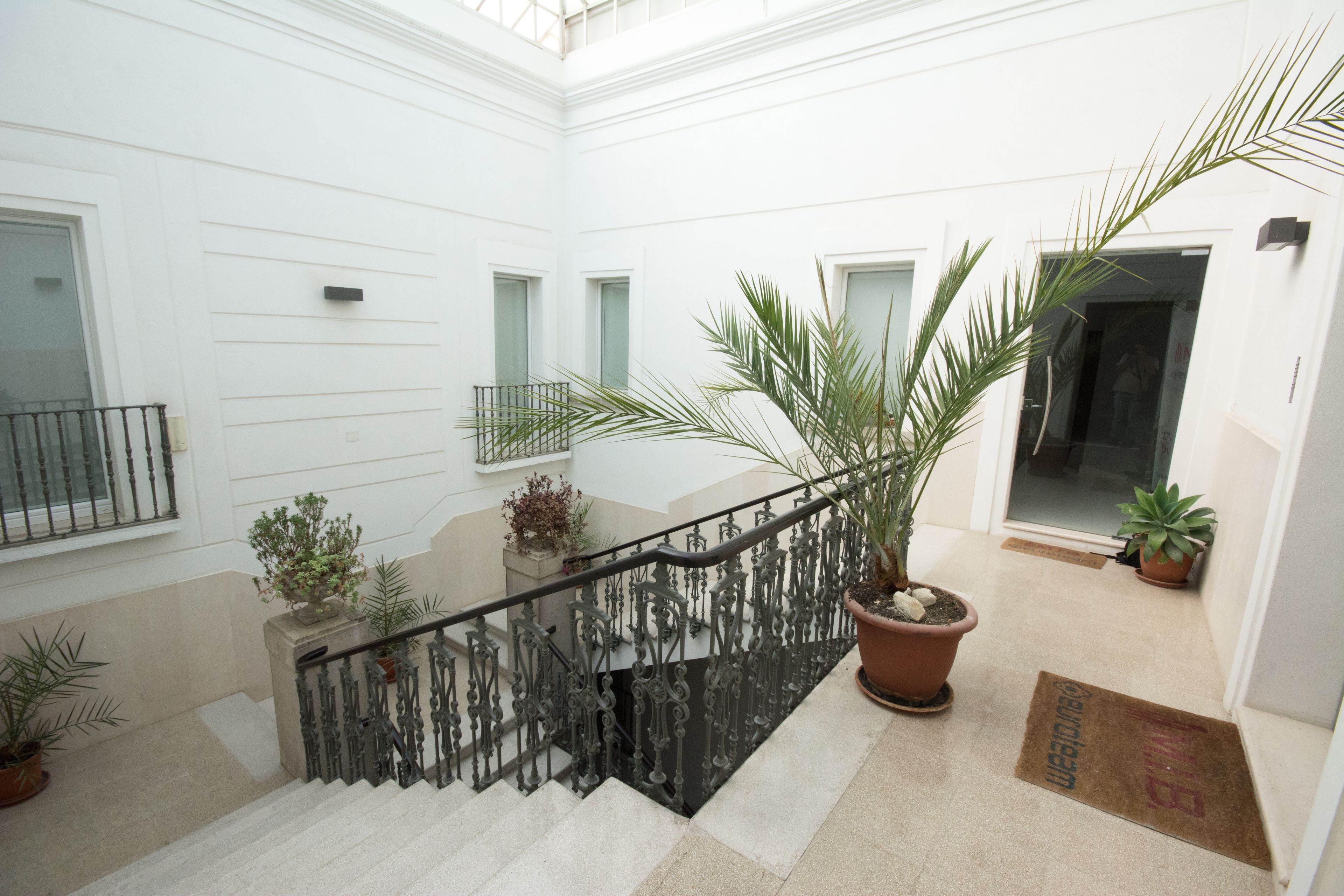 Suite & Apartment