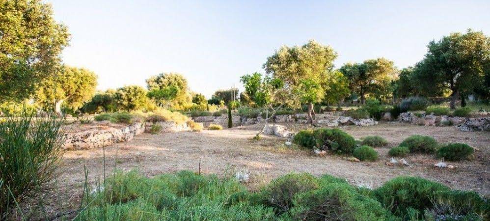 B&B Villa delle Palme