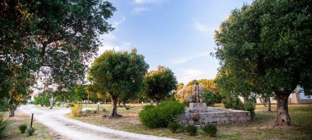 B&B Villa delle Palme