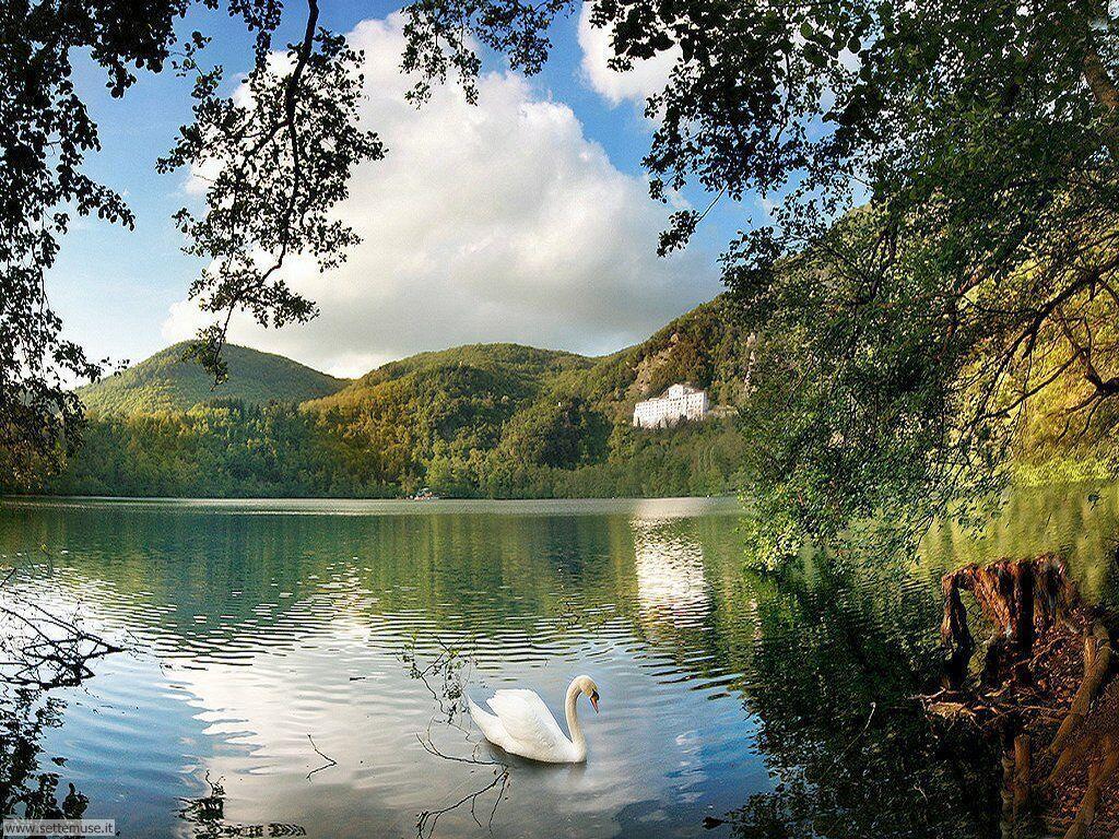 Affittacamere Portacastello