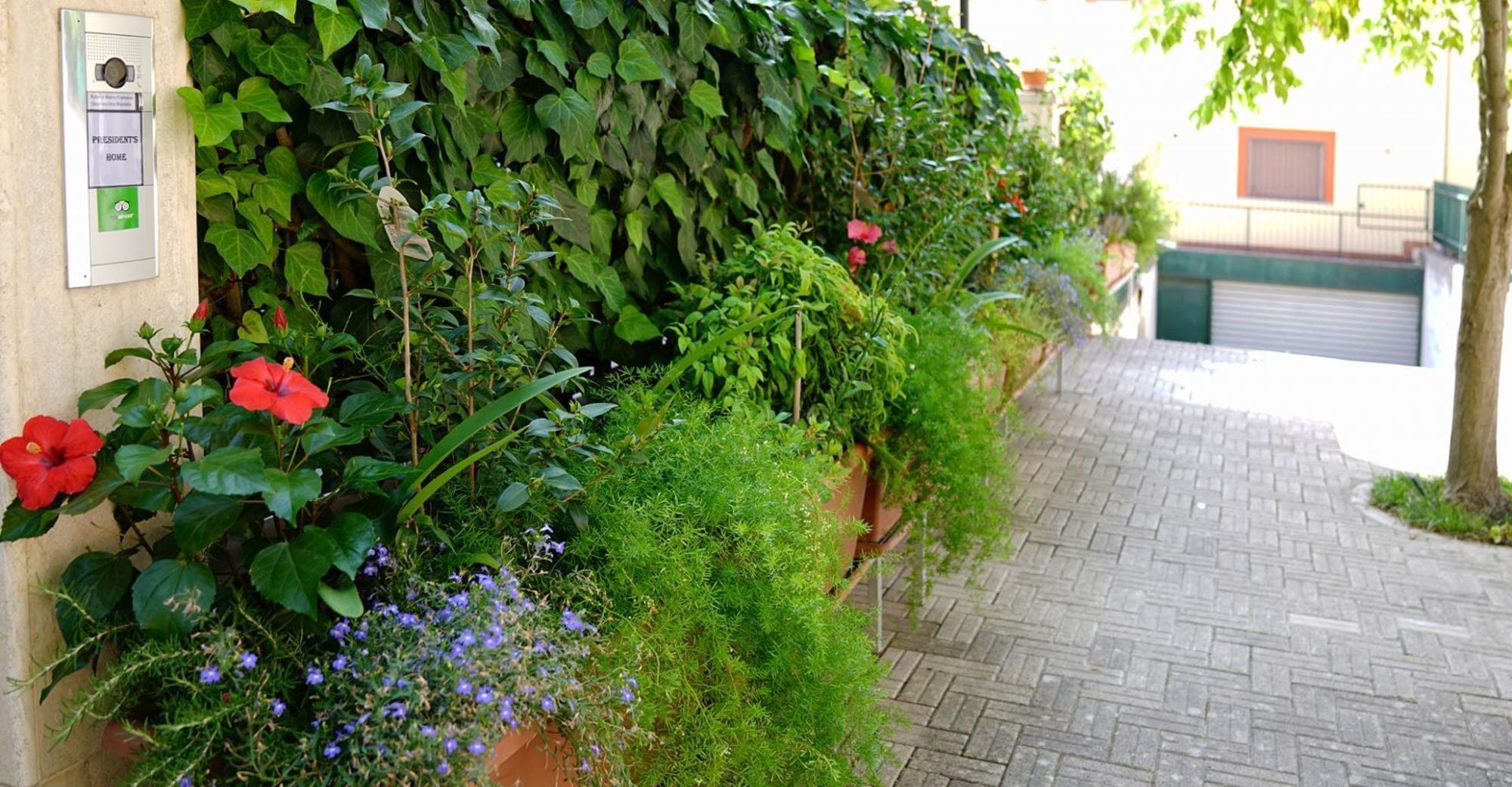 B&B President's Home