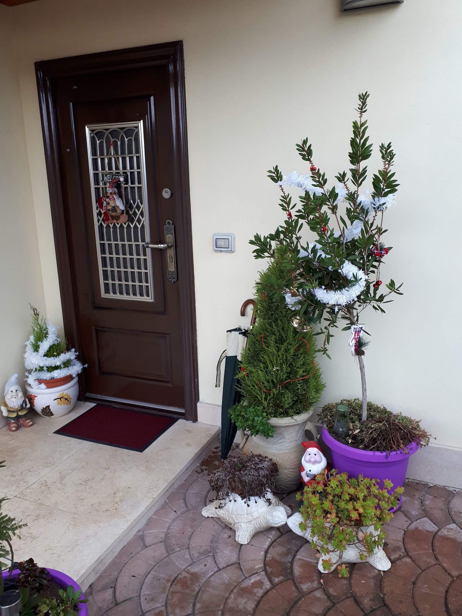 Bed & Breakfast Angolo Felice