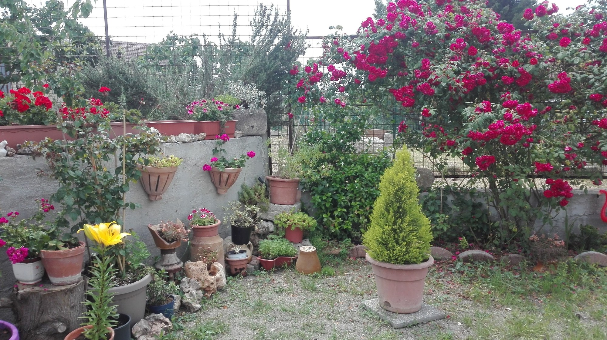 Bed & Breakfast Angolo Felice