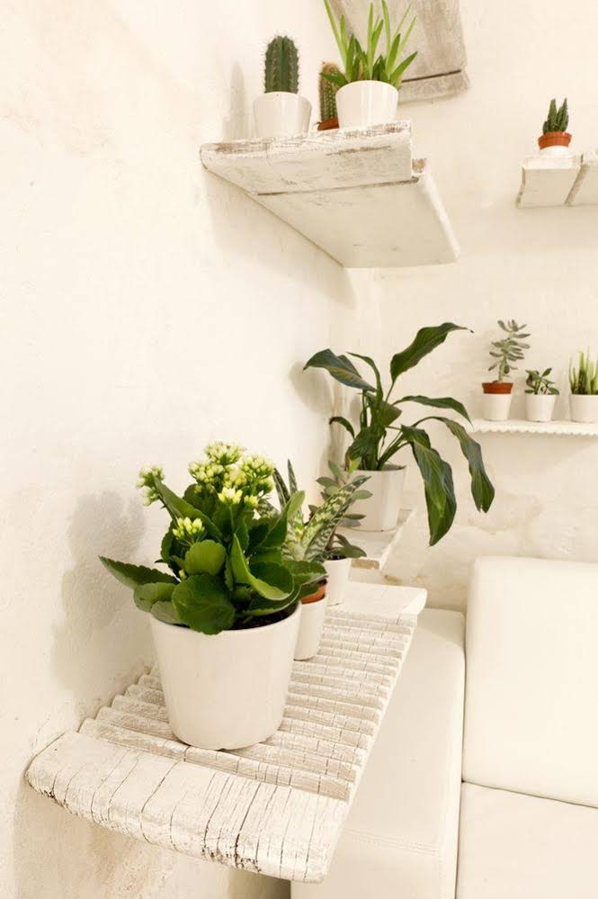 Bed & Breakfast L'Arturo