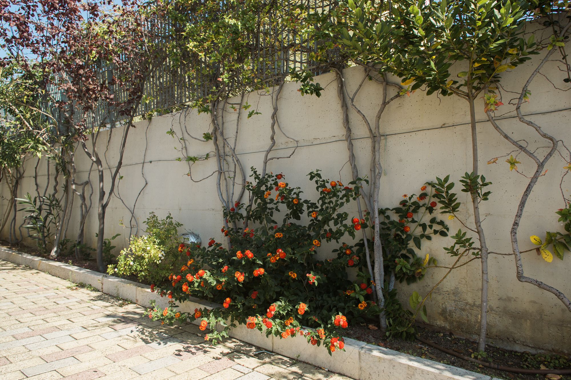 Il Crusco Bed&Breakfast