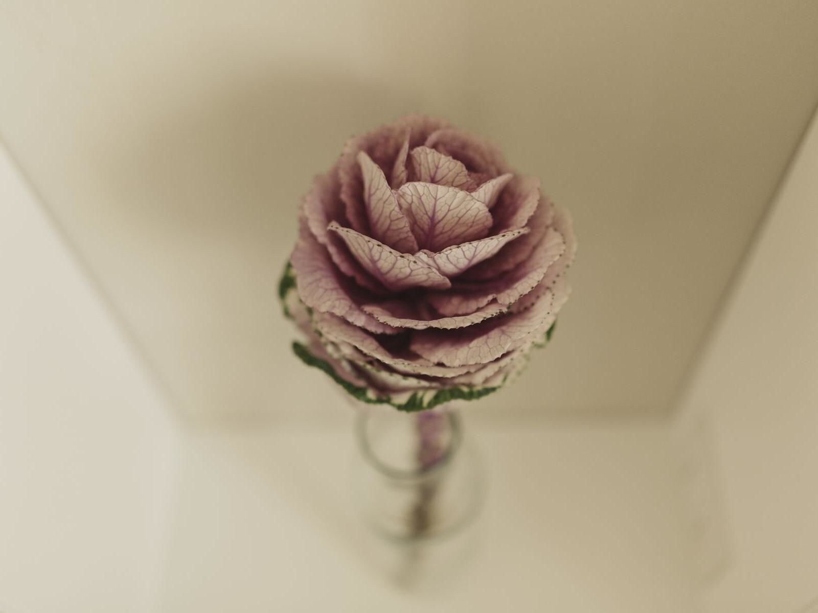 Livingstone Bed & Breakfast