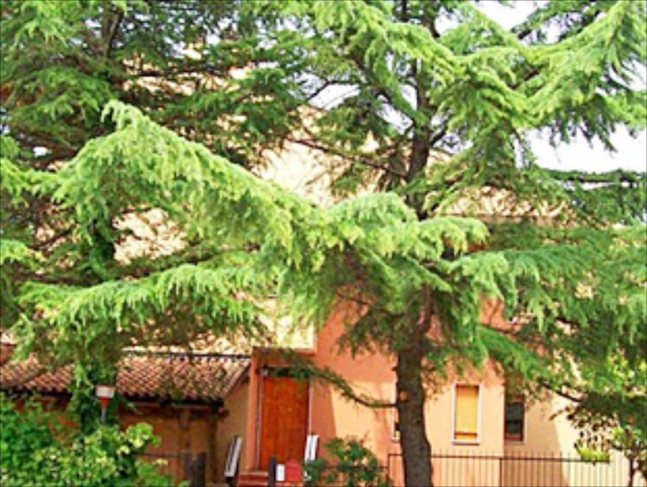 Villa Rossana