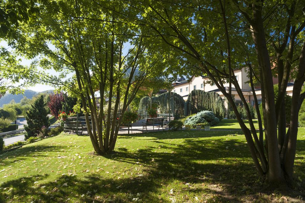 Bouganville