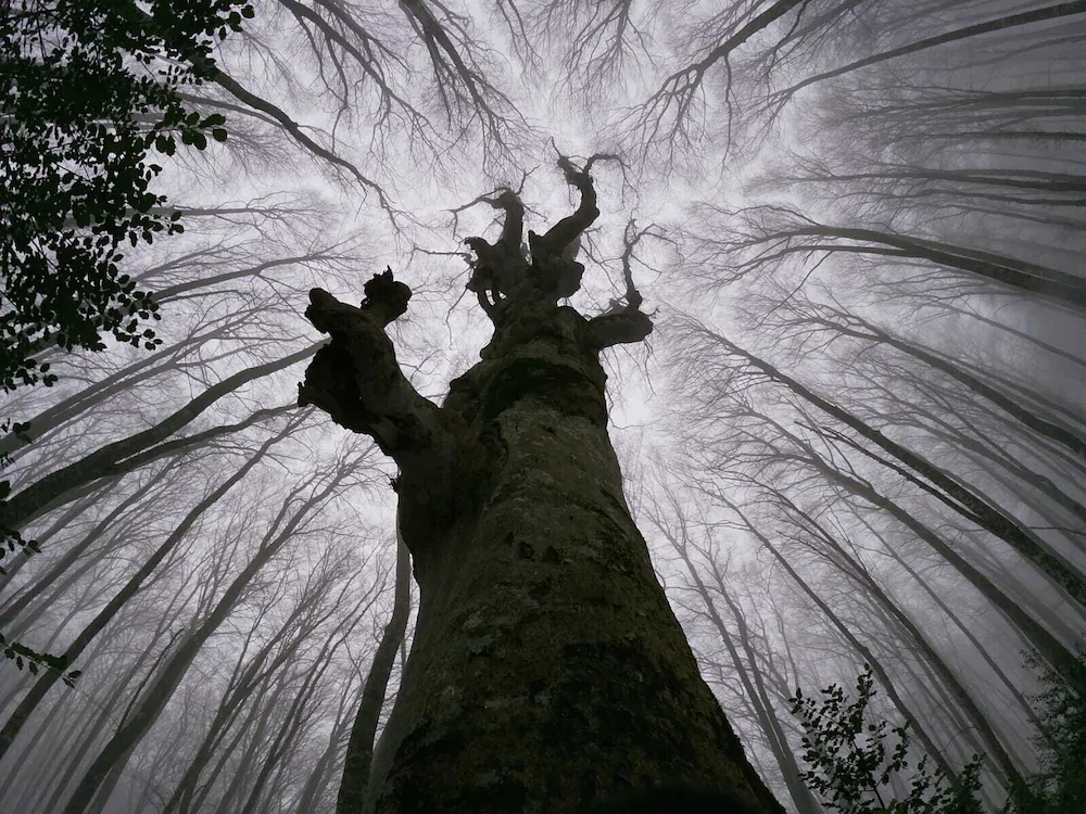 Casa Vacanze Margherita