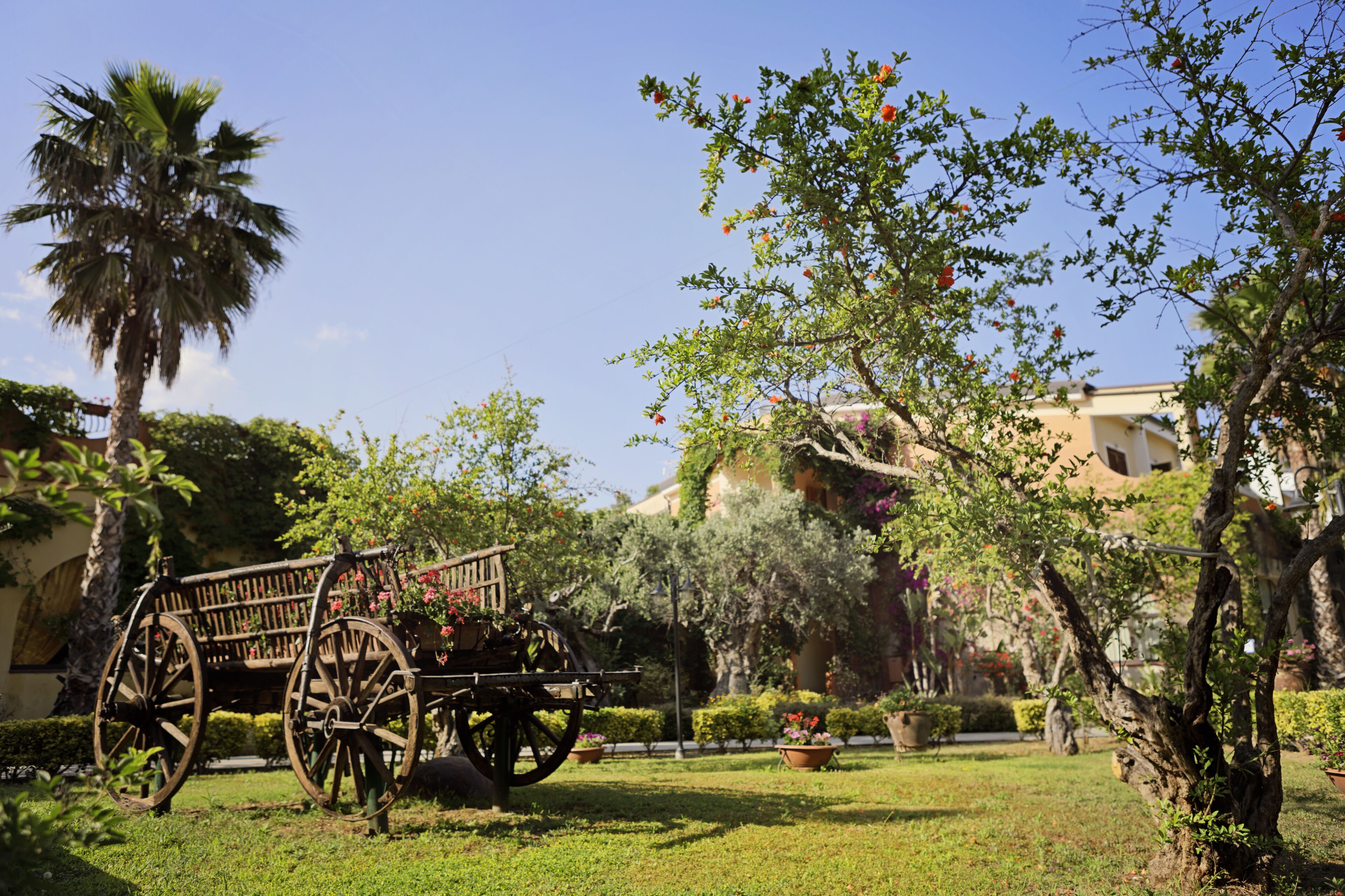 Minerva Club Resort Golf & SPA - Minerva