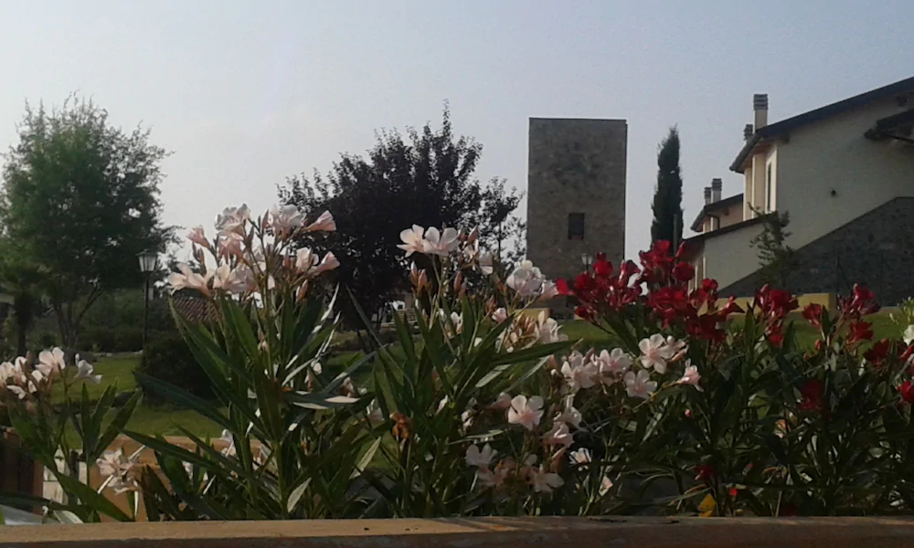 Borgo Nicoletta