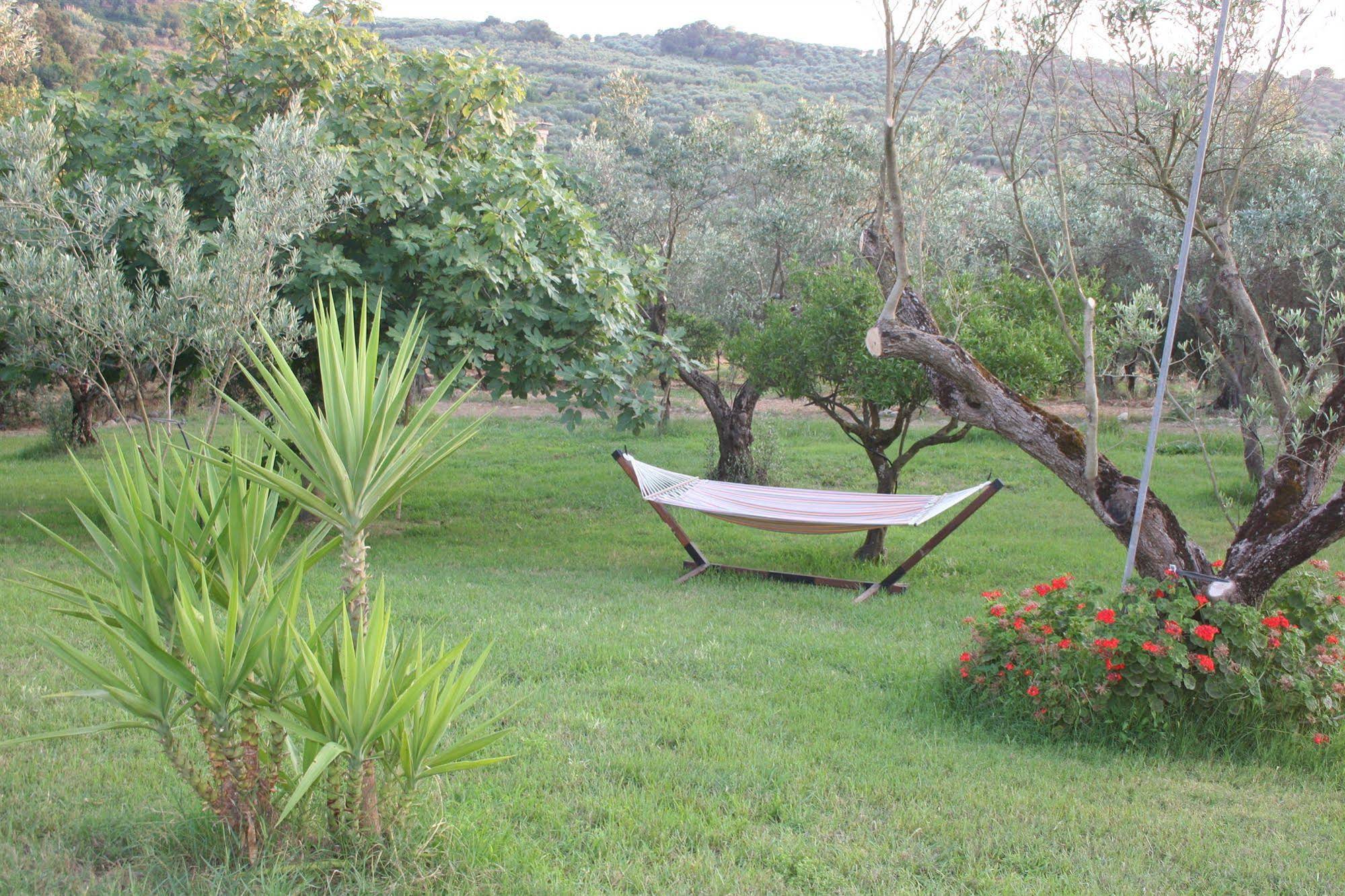Agriturismo Costantino