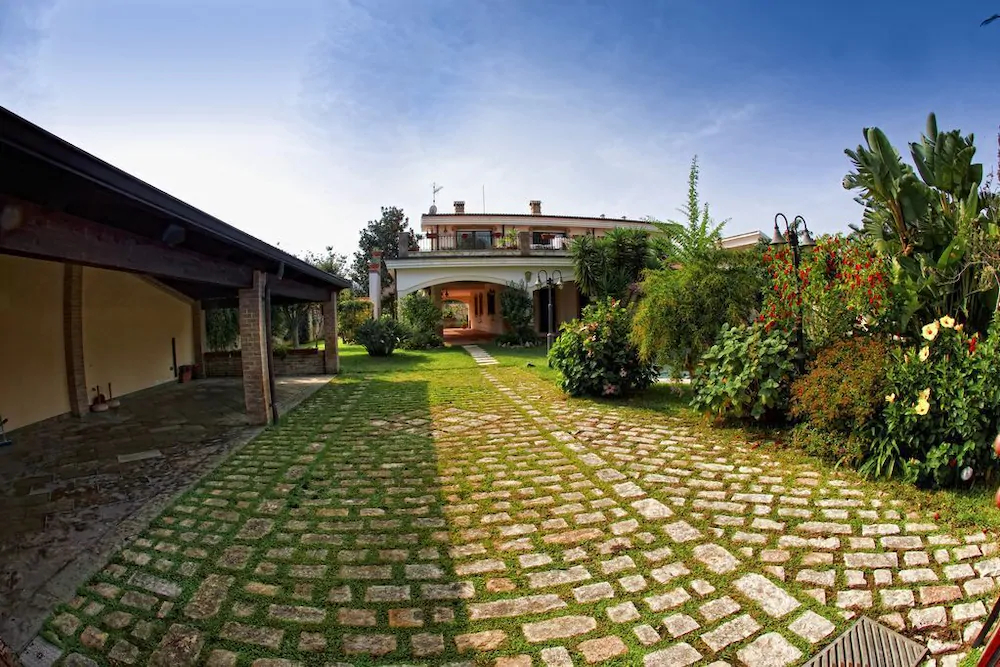 Il Veliero E I Girasoli