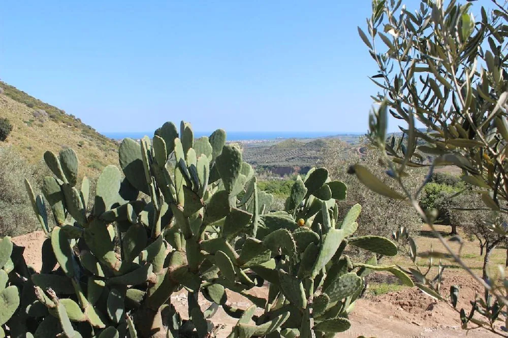 Relais Agriturismo Pansera