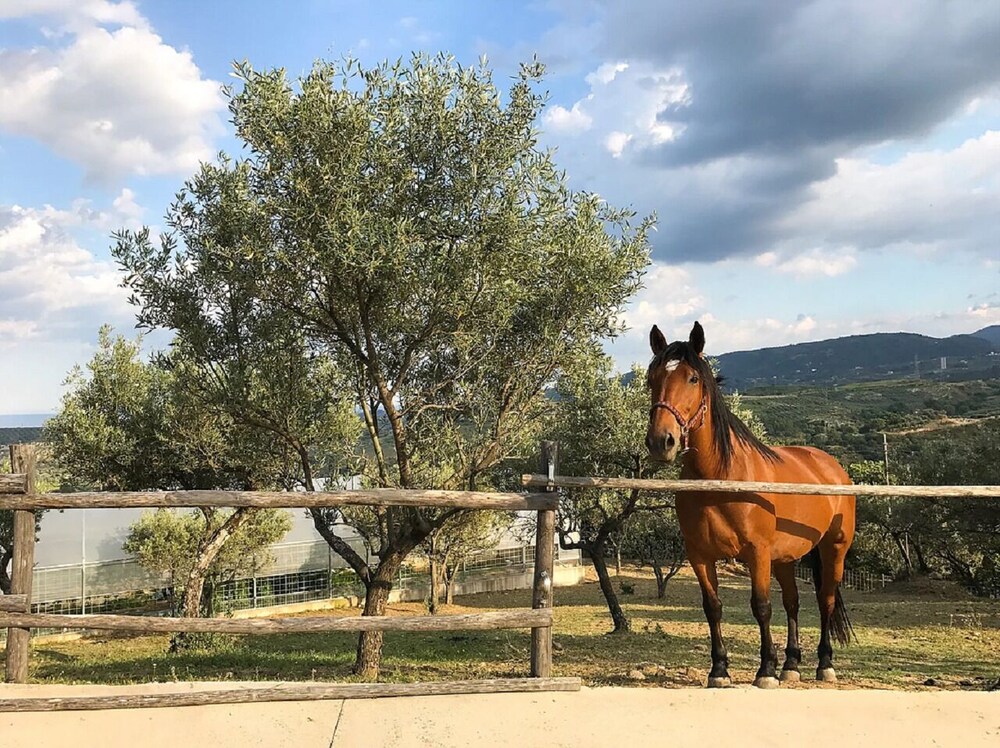 Relais Agriturismo Pansera