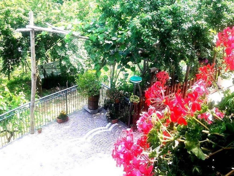 Agriturismo Il Pettirosso
