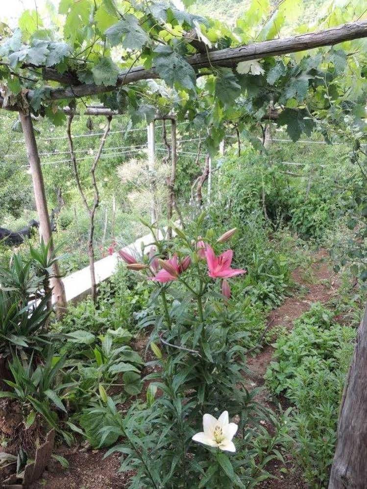 Agriturismo Il Pettirosso