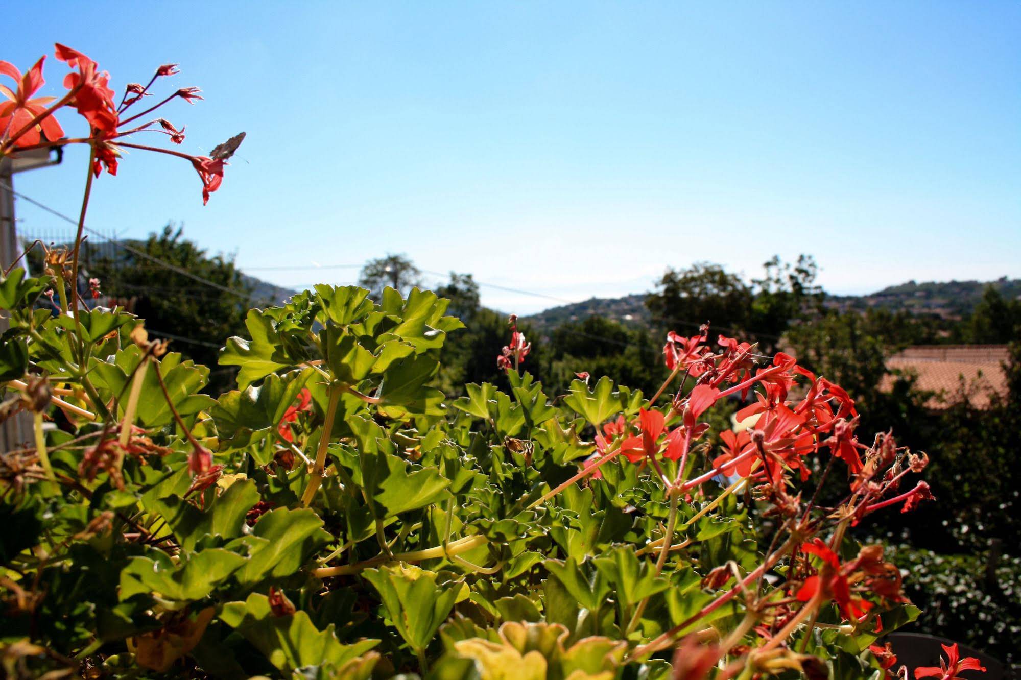Agriturismo Il Pettirosso