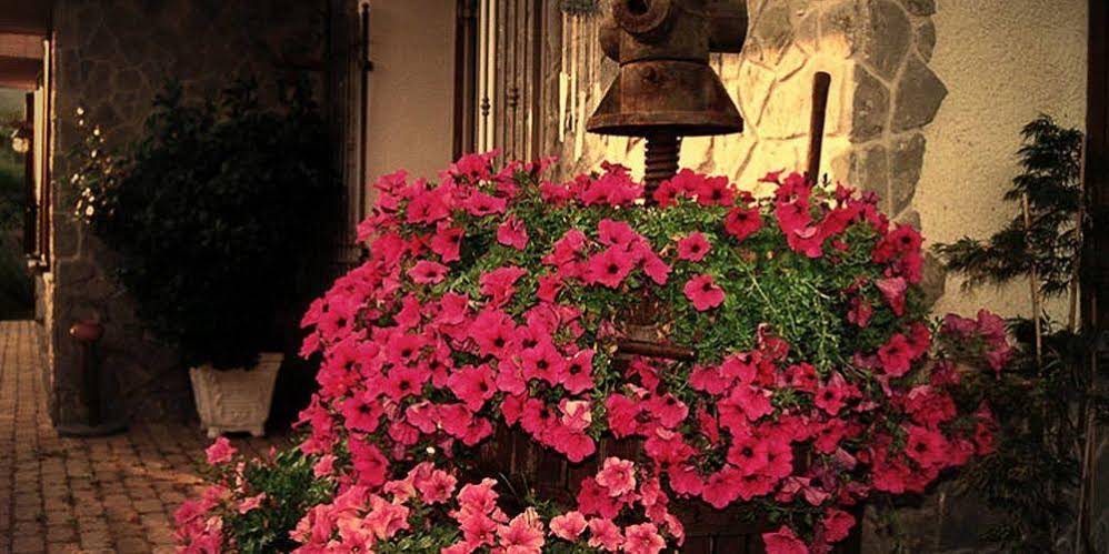 Agriturismo Nonno Tobia