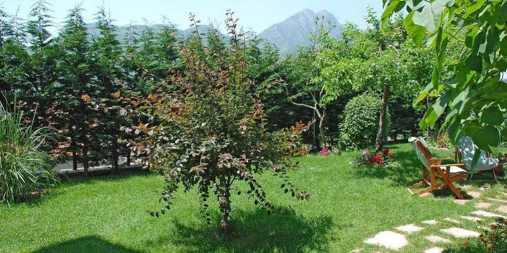 Agriturismo Nonno Tobia