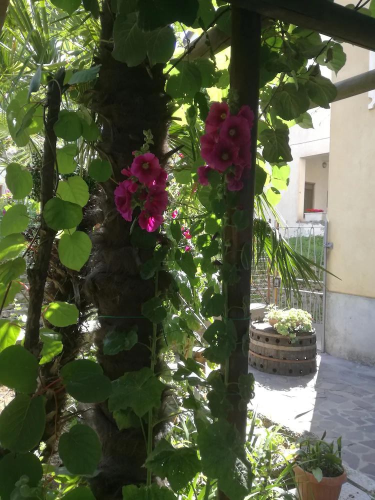 Hotel Gentile