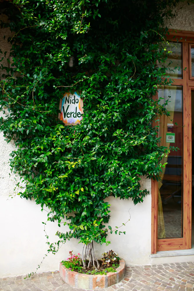 Hotel Nido Verde