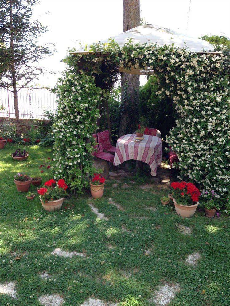 Nido Degli Dei