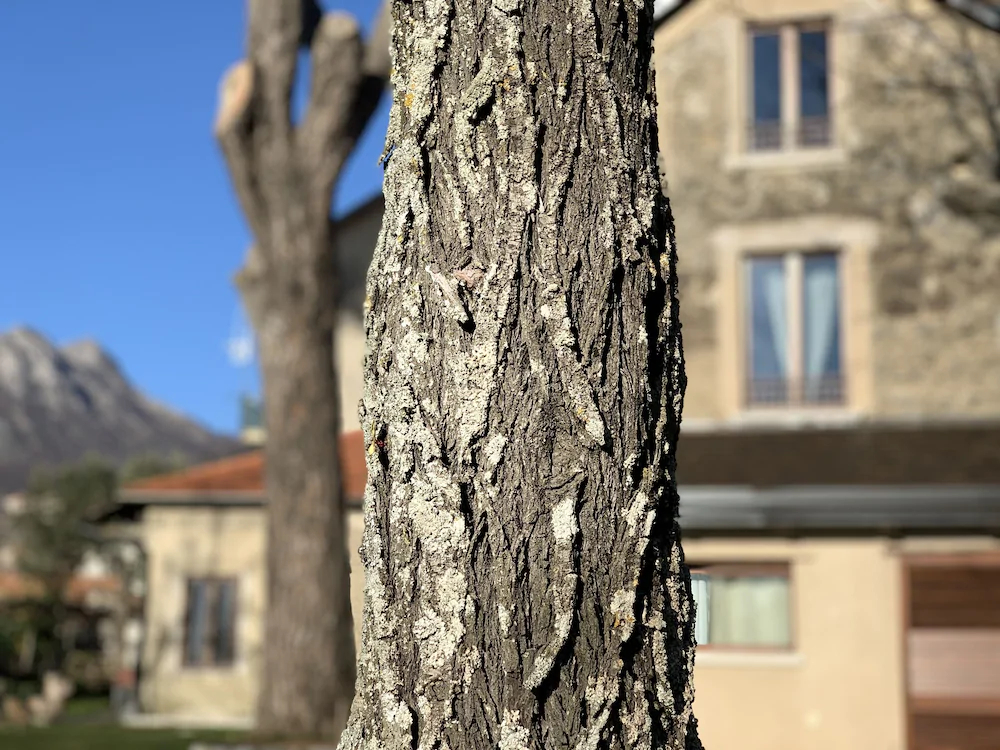Tenuta Novecento Azienda Bioagrituritica