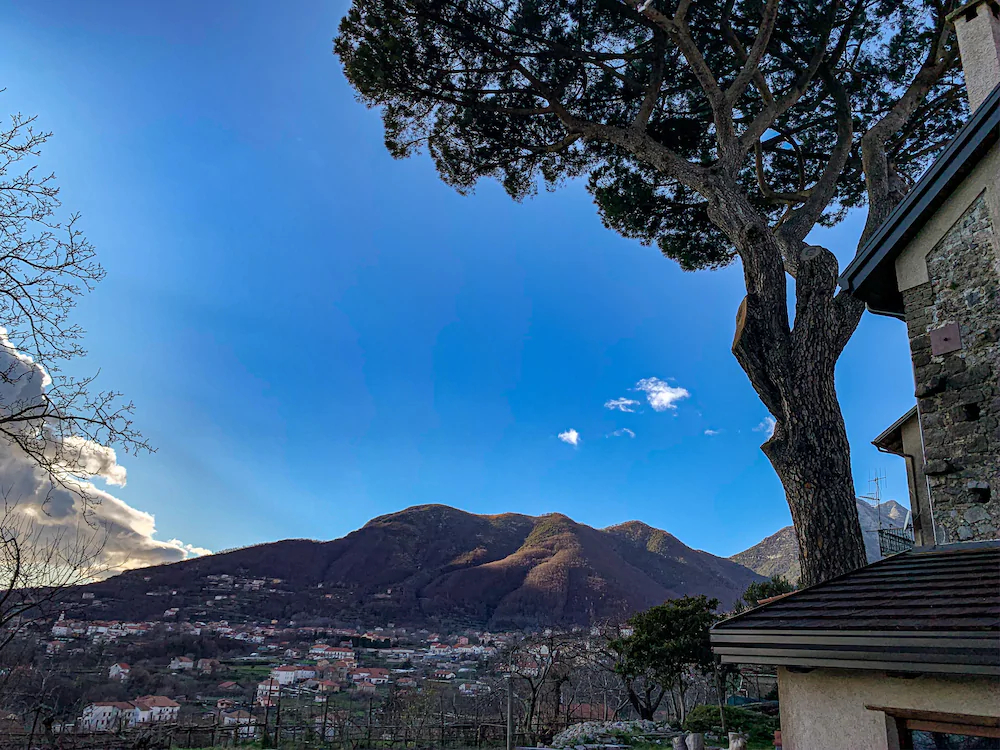 Tenuta Novecento Azienda Bioagrituritica