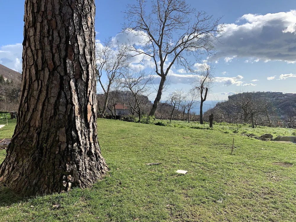 Tenuta Novecento Azienda Bioagrituritica