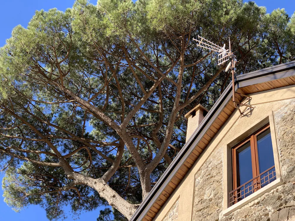 Tenuta Novecento Azienda Bioagrituritica