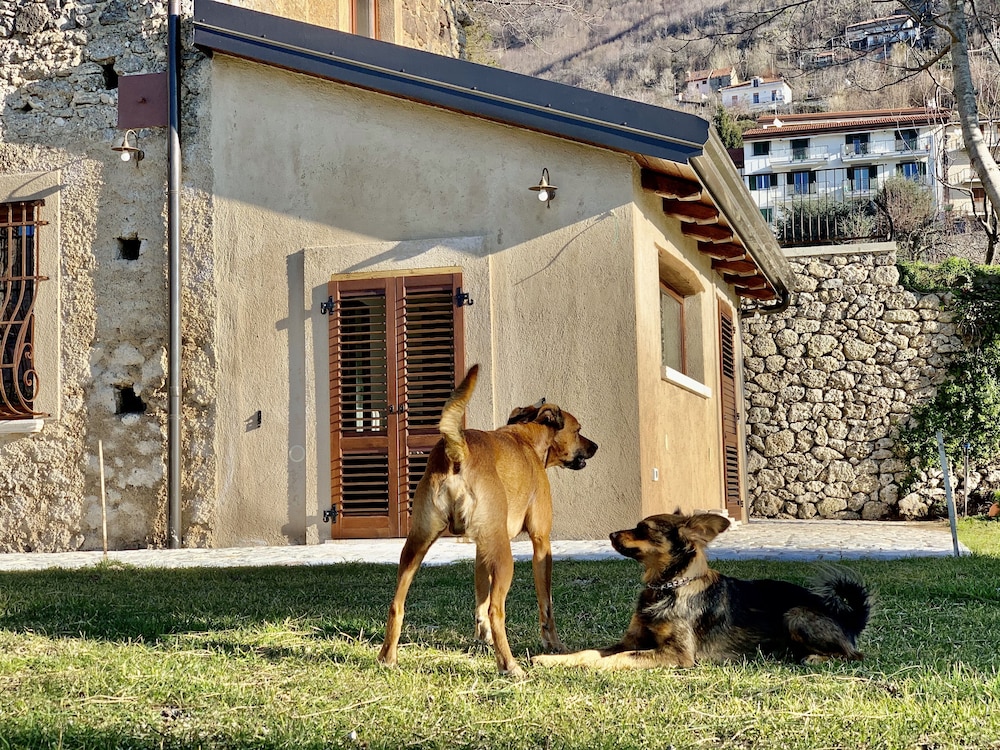 Tenuta Novecento Azienda Bioagrituritica