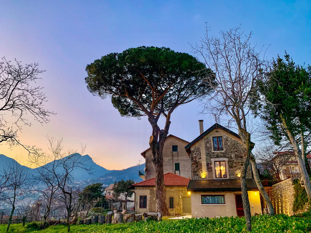 Tenuta Novecento Azienda Bioagrituritica