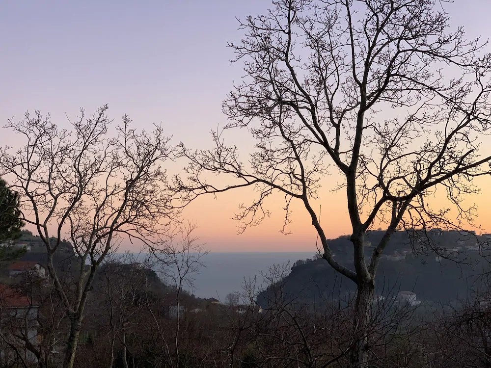 Tenuta Novecento Azienda Bioagrituritica