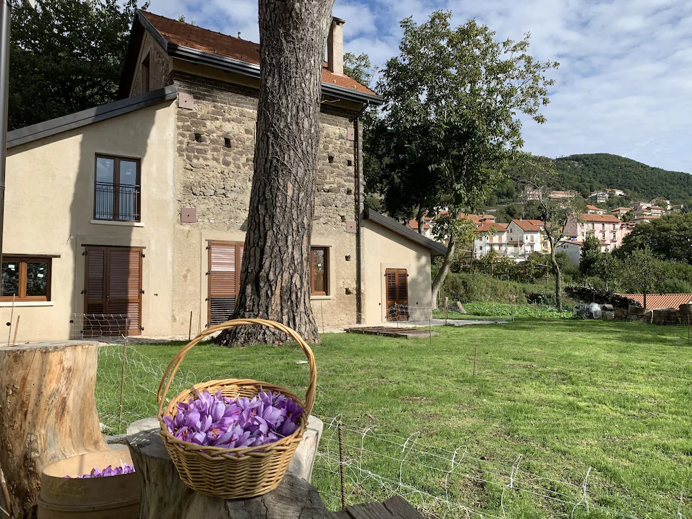 Tenuta Novecento Azienda Bioagrituritica