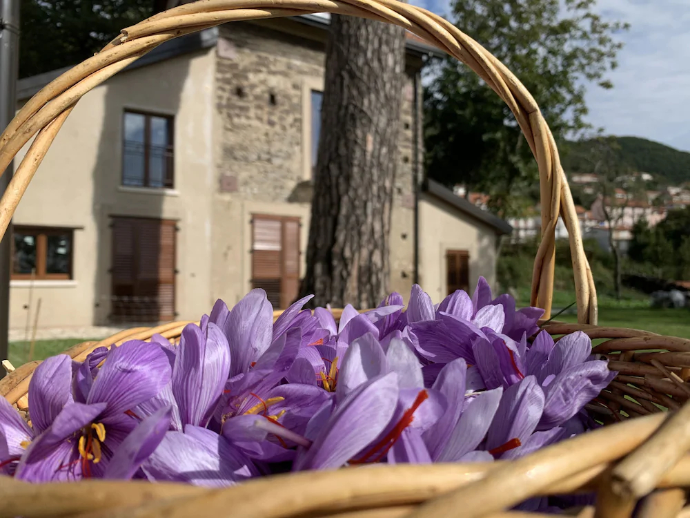 Tenuta Novecento Azienda Bioagrituritica