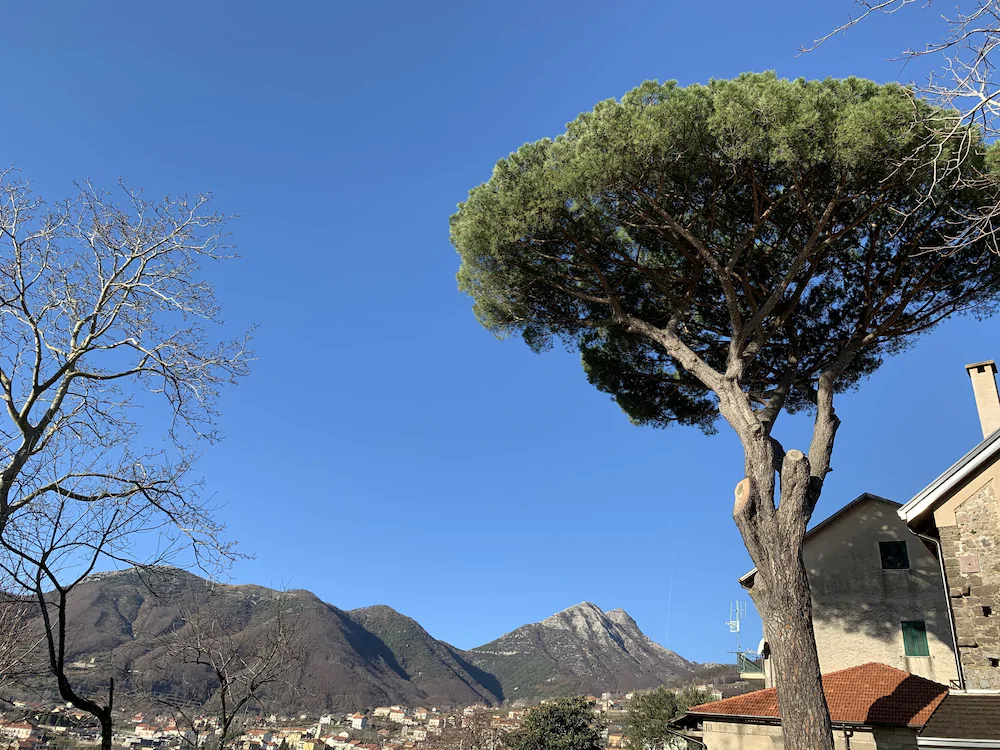 Tenuta Novecento Azienda Bioagrituritica