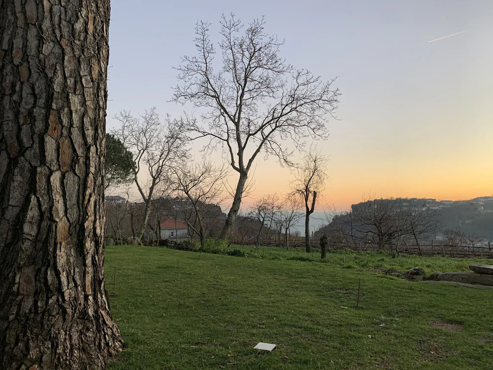 Tenuta Novecento Azienda Bioagrituritica