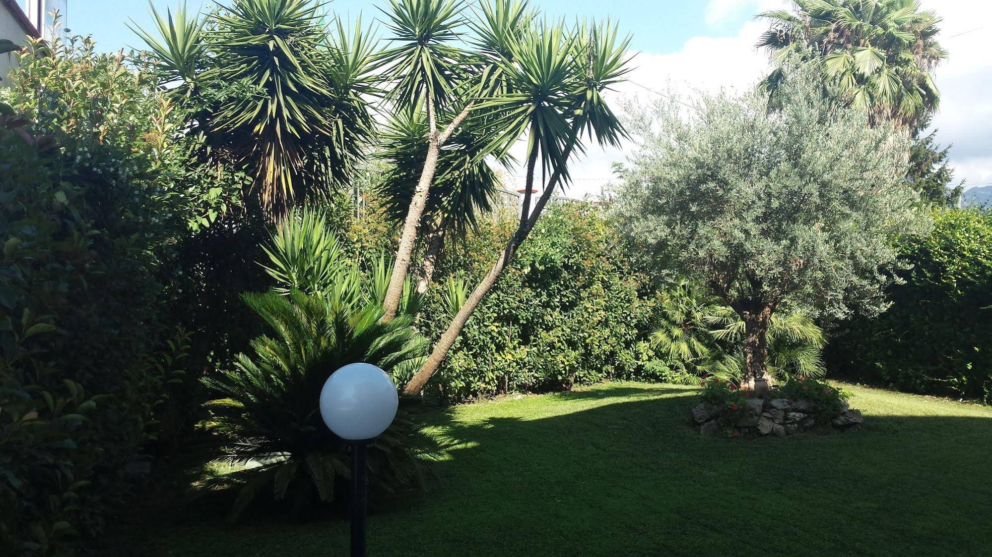 Villa Dalia